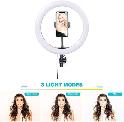 10 Inch LED Ring Light with 3 Level Brightness Dimmable Lighting for Vlogging , You Tube Video , Photo Shoot Live Streaming & Makeup Compatible with All Smart Phones & Cameras