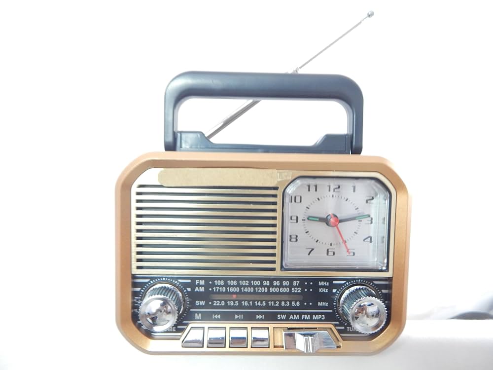MZ M6 Radio speaker