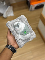 Sleeping Cat Car Dashboard Toy – Cute Plush Showpiece with Soft Faux Fur, Realistic Design & Perfect for Car, Home, Office, and Gifting
