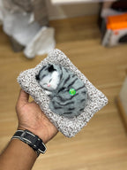 Sleeping Cat Car Dashboard Toy – Cute Plush Showpiece with Soft Faux Fur, Realistic Design & Perfect for Car, Home, Office, and Gifting